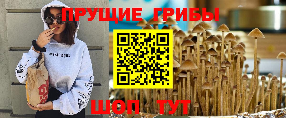 Галлюциногенные грибы Psilocybe  Галлюциногенные грибы ЛСД  Волжск  Вход с VPN 